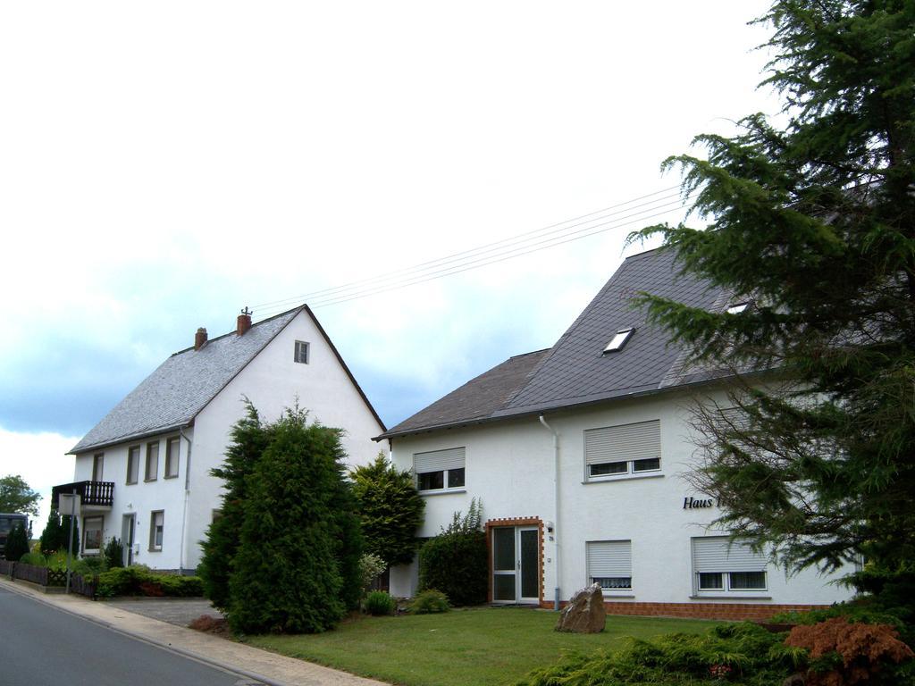 Haus Irmgard Villa Schlierschied Eksteriør billede