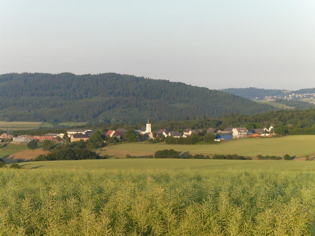 Haus Irmgard Villa Schlierschied Eksteriør billede